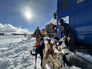 French Sled Dog Team Makes Bold Move to Wyoming for Prestigious Race