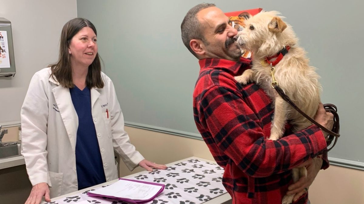 Lost California Dog Found in Michigan, Reunited with Owners