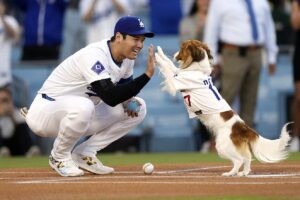Shohei Ohtani’s Dog Steals Spotlight While Dodgers Secure Win