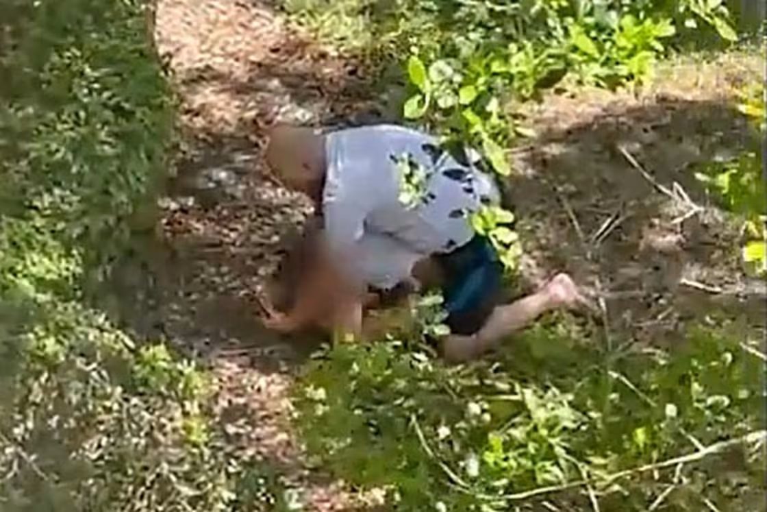 Florida Man Pins Down 11-Year-Old Girl in Mistaken Egging Incident