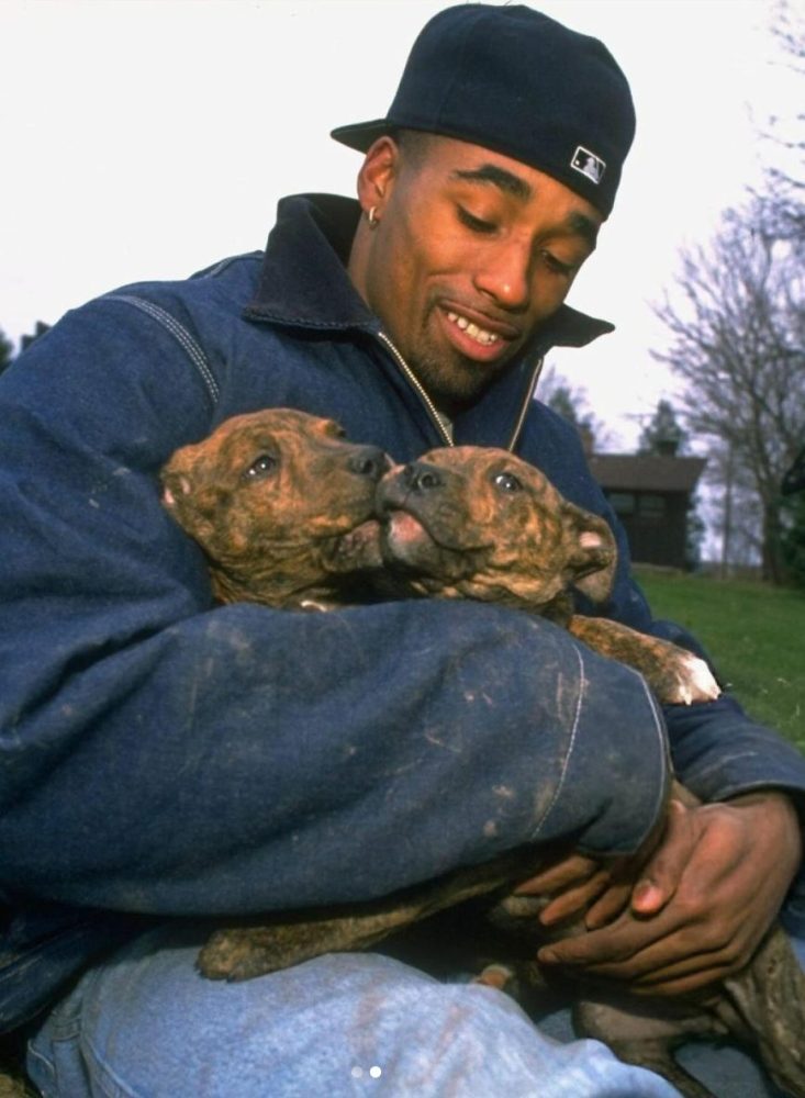 LeShon Johnson Dogs
